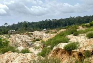 Dasai: Geen sprake van ecologische ramp door goudsector