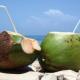 Graag meer nieuws over kokosinvesteringen Coronie