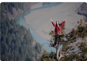 Julia Hill Beschermt 1000-jarige Sequoia Luna: Een Boomlange Bivak