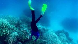 Massale verbleking koraalriffen door hete oceaan