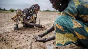 Menselijk handelen veroorzaakte dodelijke hittegolf in Sahel