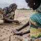 Menselijk handelen veroorzaakte dodelijke hittegolf in Sahel
