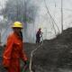 Venezuela: Bosbrandencrisis, dit jaar al ruim 30.200 branden