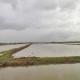 Beschikbaarheid irrigatiewater rijstvelden linkeroever Nickerie