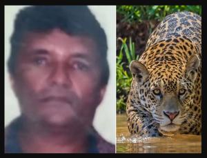 Brazilië: Arbeider gedood door jaguar in deelstaat Mato Grosso