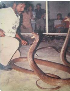 De man op deze foto is Ali Khan Samsudin, een beroemde slangenbezweerder