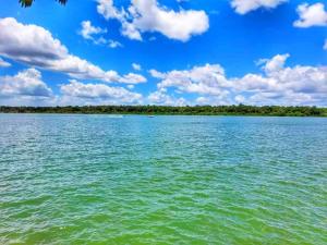 Mysterie van het groene water in Surinaamse rivieren houdt gemeenschap in