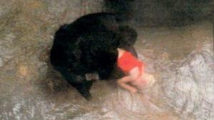 Terug in de tijd, 1996 – Gorilla Binti Jua brengt 8-jarige jongen die in