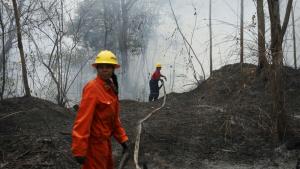 Venezuela: Bosbrandencrisis, dit jaar al ruim 30.200 branden