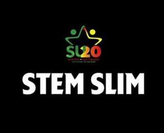 Was “Stem Slim” werkelijk slim?