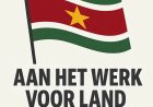Column: Het is genoeg geweest; Aan het werk, voor land en volk!