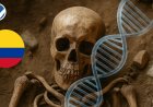 6.000 jaar oude skeletten gevonden in Colombia hebben uniek DNA