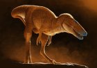 Opmerkelijk – Nieuw ontdekte ‘drakenprins’ in Mongolië is voorouder van Tyrannosaurus rex