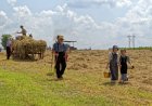 MENNONITISCHE LANDBOUW IN PERU EN DE PARALLELLEN MET SURINAME