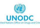 “Verbreek de cyclus”: UNODC roept op tot wereldwijde aanpak drugsproblematiek en georganiseer