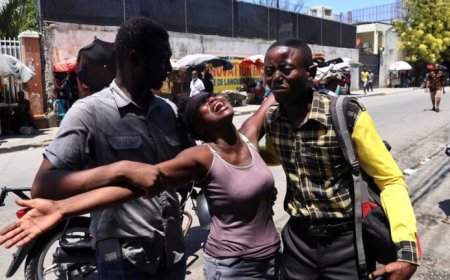 President Lula roept op tot sterkere internationale veiligheidsmacht in Haïti