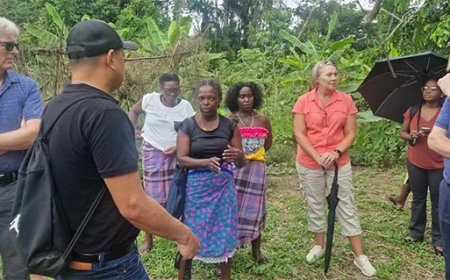 CELOS en APA bouwen verder aan agroforestry