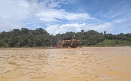 ‘Geen alternatief voor inkomsten uit kleinschalige goudsector’