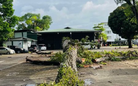 Boom bij Nationale Assemblee valt op deel van schutting