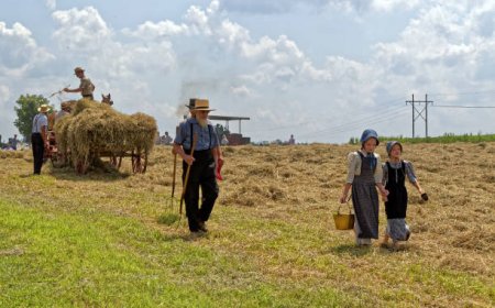 MENNONITISCHE LANDBOUW IN PERU EN DE PARALLELLEN MET SURINAME