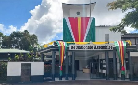 Nieuwe DNA komt nu zondag 29 juni bijeen; termijn loopt af