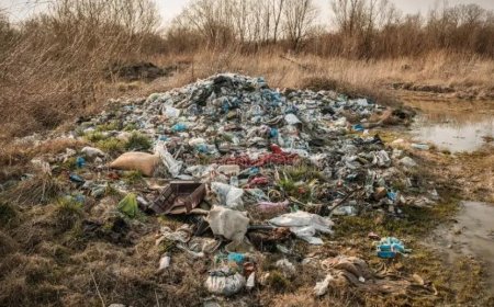 Geen vervuiling zonder toestemming: Overheid, burgers en bedrijven – iedereen heeft en rol