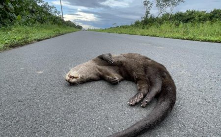 De realiteit blijft hard…