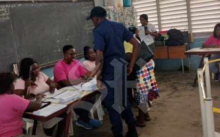 Tekortkomingen verkiezingen worden meegenomen bij evaluatie