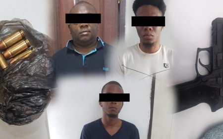 Drie leden ‘witte handschoenen-bende’ gearresteerd na auto-inbraak