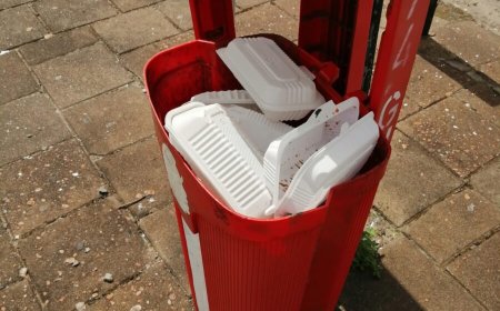 Verhoog de boetes voor dampen van afval 