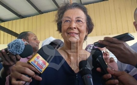 Simons bevestigt: Brunswijk wordt vicevoorzitter DNA