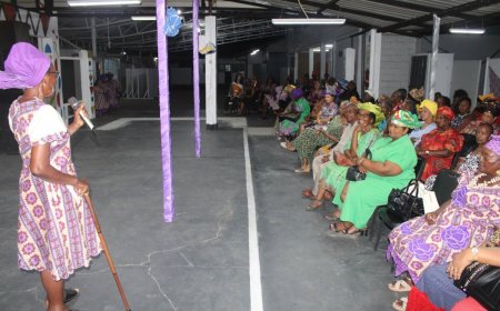 Naks Prodo Spikri erg kleurrijk