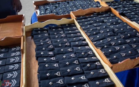 Bachelor Politiekunde-cursisten eisen bevordering na diploma: oproep aan president Santokhi