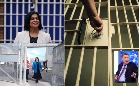 Buitenlandse criminelen gedeporteerd na 30% van straf om gevangenissen te ontlasten