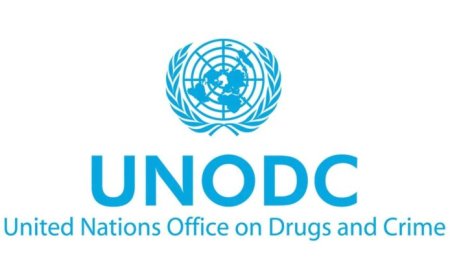 “Verbreek de cyclus”: UNODC roept op tot wereldwijde aanpak drugsproblematiek en georganiseer