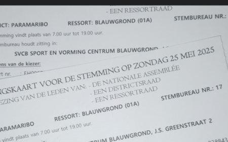 Circa 100.000 onbestelde oproepingskaarten bij verkiezingen