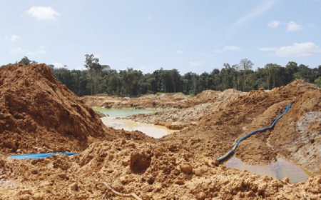 Hoe kan Suriname zijn bos beschermen tegen mijnbouw?