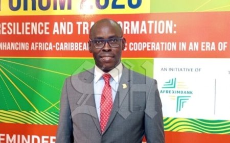 Afreximbank: Suriname moet investeren in handel met Afrika