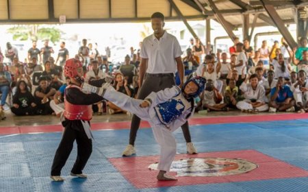 Zes landen nemen deel aan internationaal Arthy Lie Taekwondotoernooi