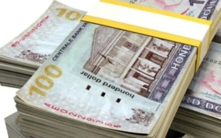 SRD 703 miljoen aan CBC’s uitgegeven