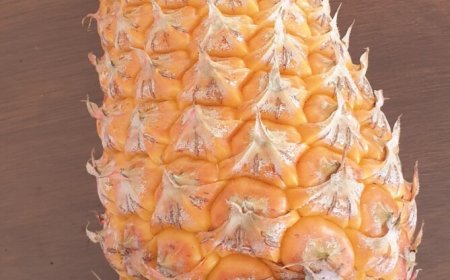 Het is weer ananastijd – gezond, veelzijdig en zelf te kweken