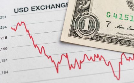 Koersbeheersing is geen sloganwerk – Niet op te lossen met populistisch praten 