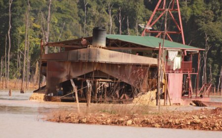 POLITIEKE WIL EN SKALIANS