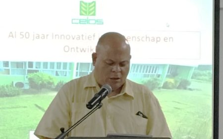 LEERKRACHTEN ZIJN AL DECENNIA BEDELAARS