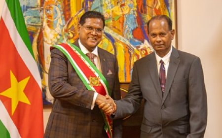 Rabindre Parmessar nu fungerend voorzitter van DNA