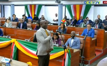 Brunswijk beëdigd als DNA-lid – einde vp-rol nabij?