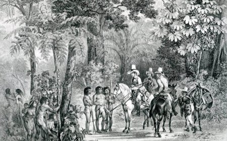 Slavernijverleden (1): de actoren