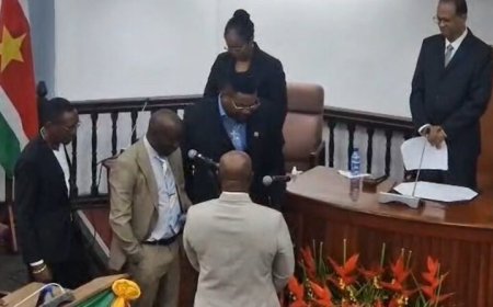 Brunswijk nu assembleelid; geen vp meer