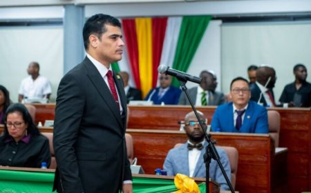 Breaking: Ashwin Adhin gekozen tot DNA-voorzitter; commotie over tonen stembiljetten