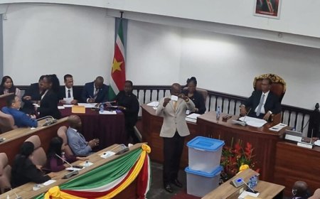 Ronnie Brunswijk officieel vicevoorzitter DNA